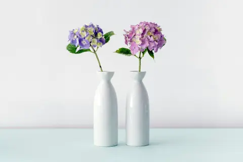 Two identical white vases, each holding a hydrangea