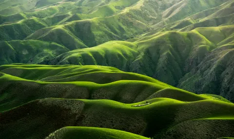 Soft rolling green hills under a pale open sky