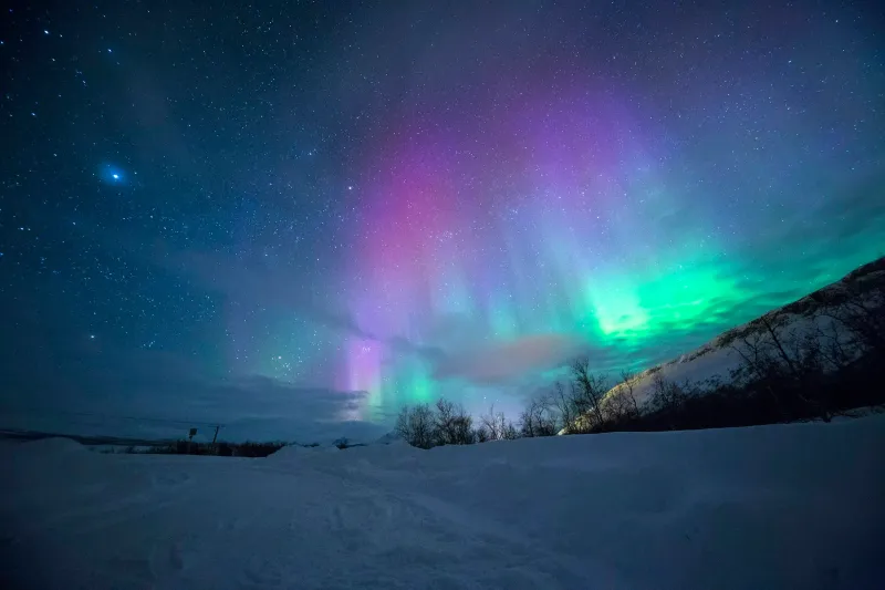 Green northern lights cascading over a dark empty horizon