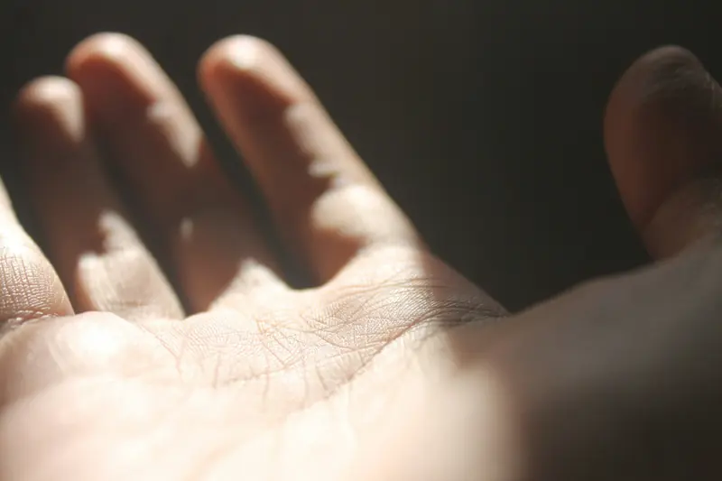 An open palm in soft, warm light