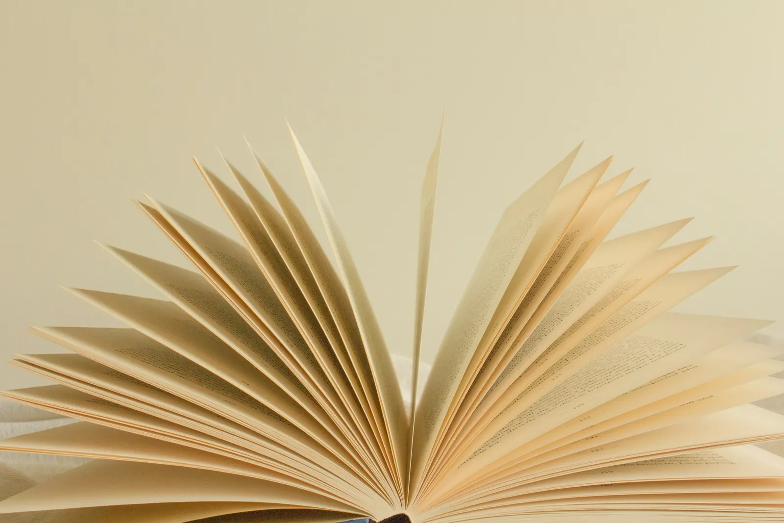 An open book with its pages fanned against a cream background